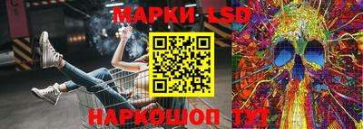 прущие грибы Обнинск