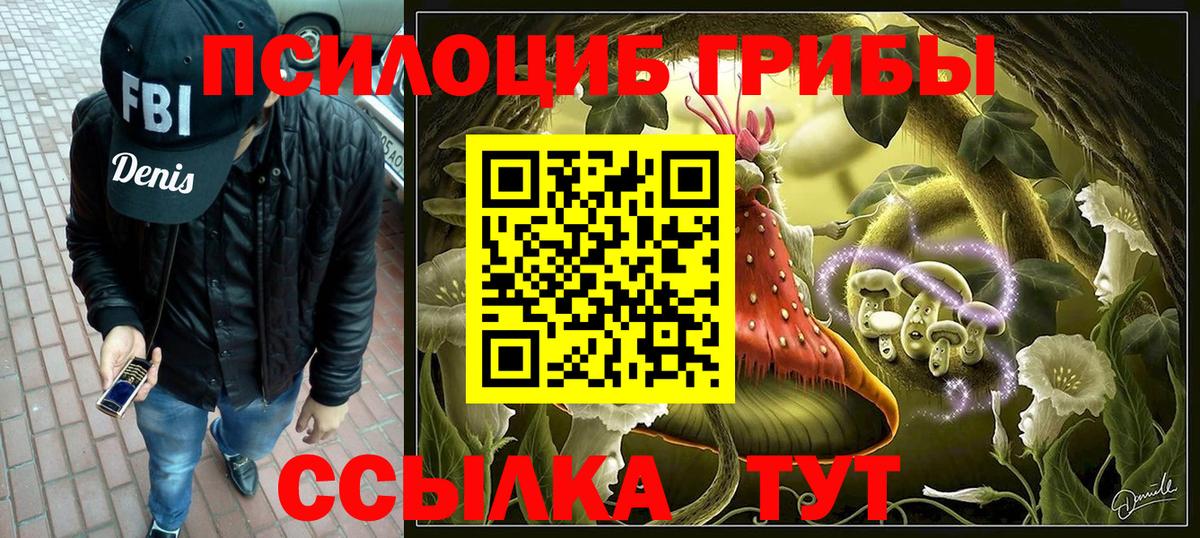 Галлюциногенные грибы GOLDEN TEACHER Амурск